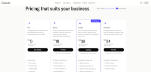 Capsule CRM Review for Beginners